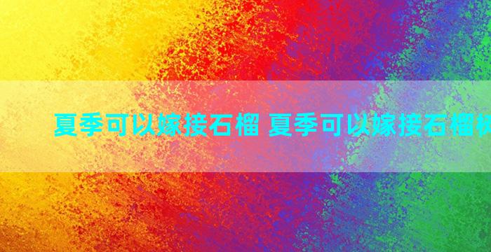 夏季可以嫁接石榴 夏季可以嫁接石榴树吗视频